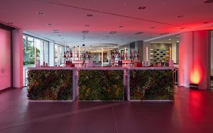 Flair Evolution place picture